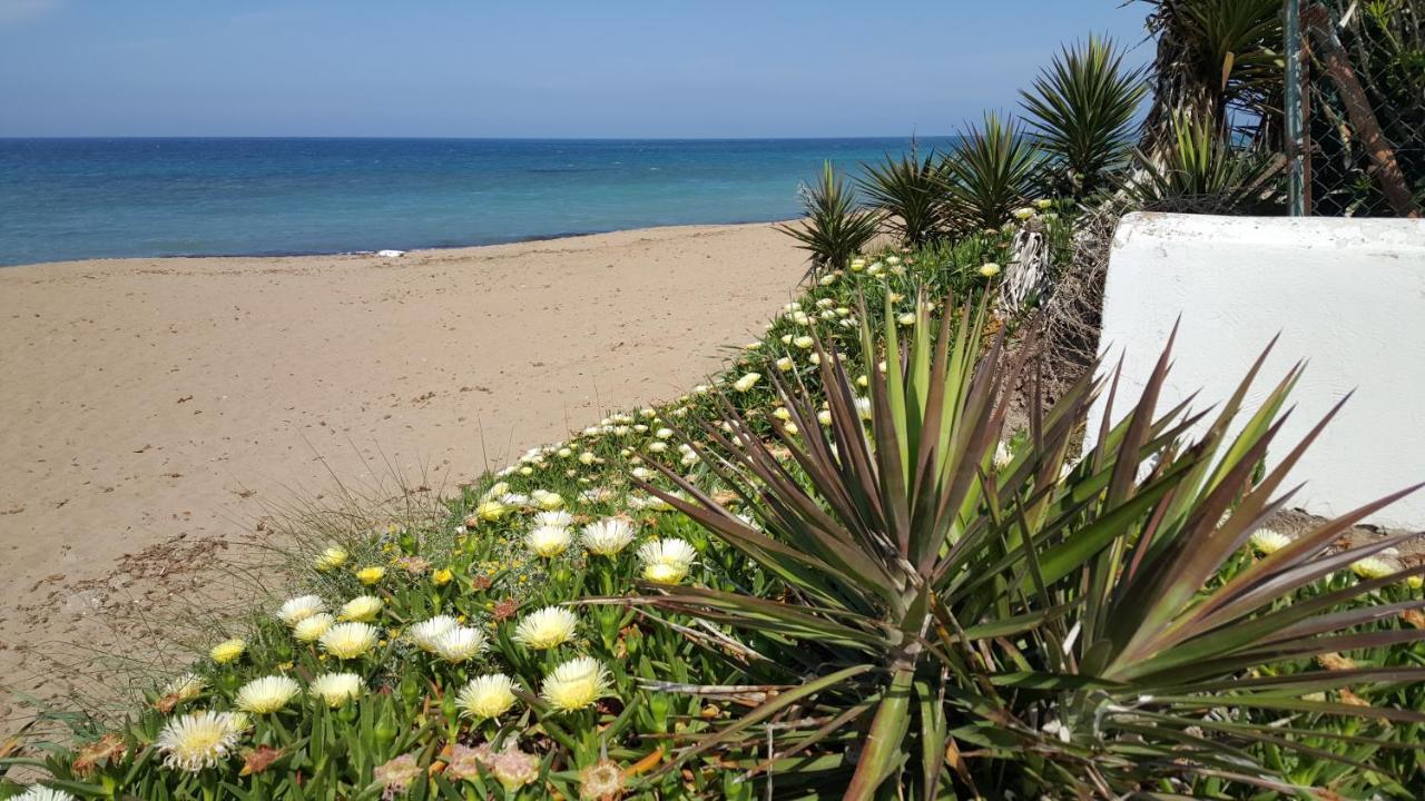 Apartmán Camino Del Vasco Denia Exteriér fotografie